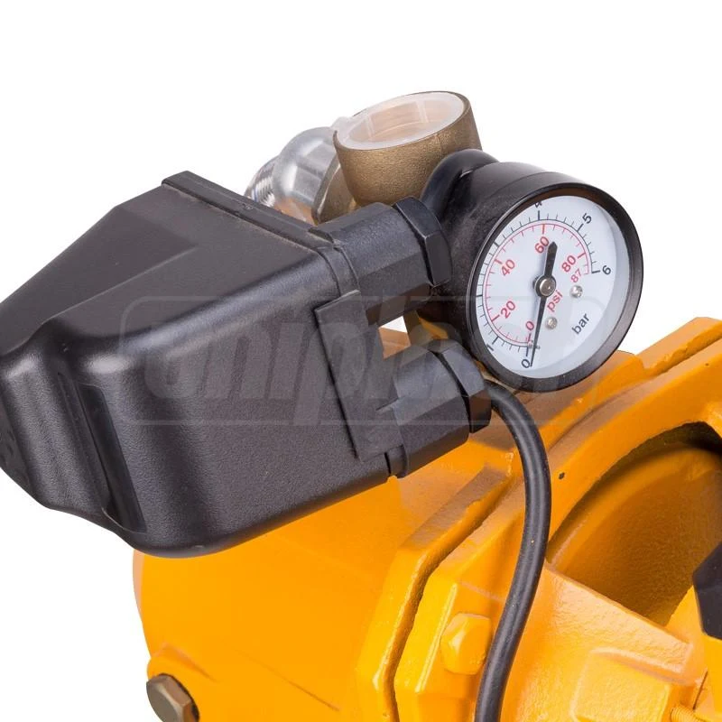 Гидрофор H=9 м; 0.75 kW / 24 л AUJET100 104006  DINGQI 2