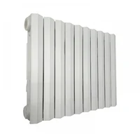 Radiator fonta Wasser Standart TERMO 500 600x60x90 mm 10 sectii complet cu garnituri 4buc=1 1/2FEx3/4FI 2