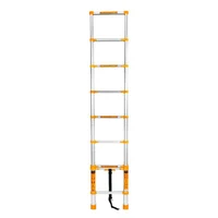 Лестница телескопическая 3.2 м HF02003  DINGQI 3