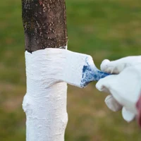 Vopsea protectoare cu efect decorativ pentru copaci 1.5 kg 2