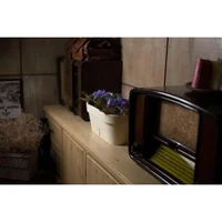 Jardiniera LATINO №40 6.7 L (crem) 3