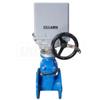 Vana fonta cu actionare electrica REGADA D. 80 PN16 pana cauciucata F4 (L=180 mm) (8 gauri)  BLUCAST 2