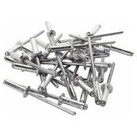 Nituri 6.0 x 14 mm cu cap bombat AL/ST (25 buc.) 2