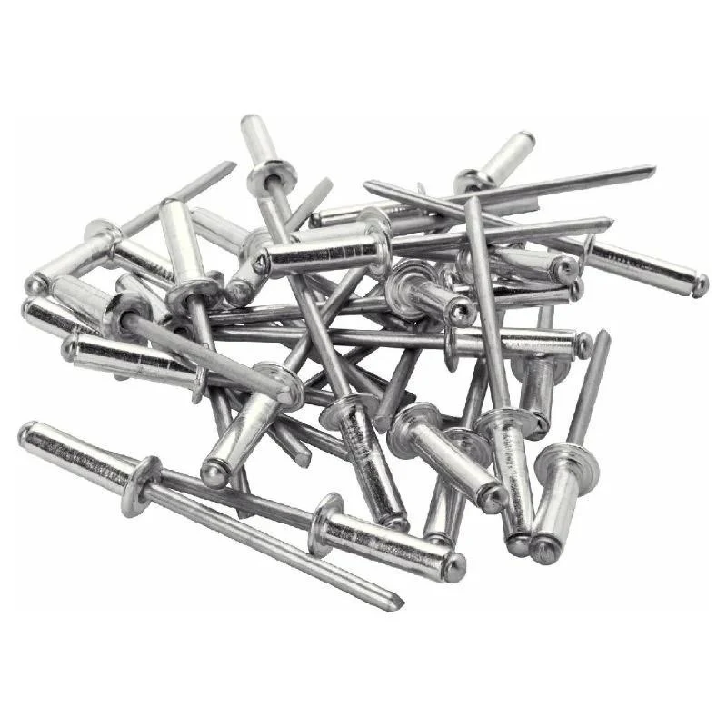 Nituri 6.0 x 14 mm cu cap bombat AL/ST (25 buc.) 2