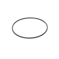 Garnitura pentru corp filtru 10"  ITALTECNICA 2