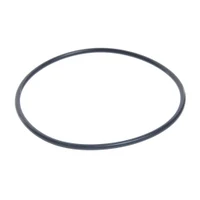 Garnitura pentru corp filtru 10"  ITALTECNICA