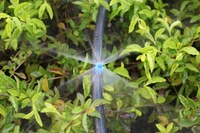 Microaspersor cu 1 duza D. 7/270° (albastru)  UNITAPE 4