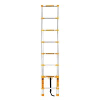 Лестница телескопическая 2.6 м HF02001  DINGQI 3