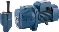Гидрофор H=25 м; 0.75 kW / 24 л Hydrofresh JDWm1AX/30-4"-24CL + защита HJDW1FSG  PEDROLLO