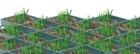 Pavaj ecologic A15 (gratar PE pentru protectia gazonului) 39.5x39.5 cm H=40 mm verde  SAB 5