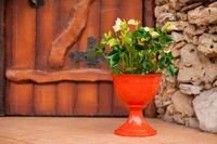 Ghiveci LILIA  3.5 L pe picior (teracota) 2